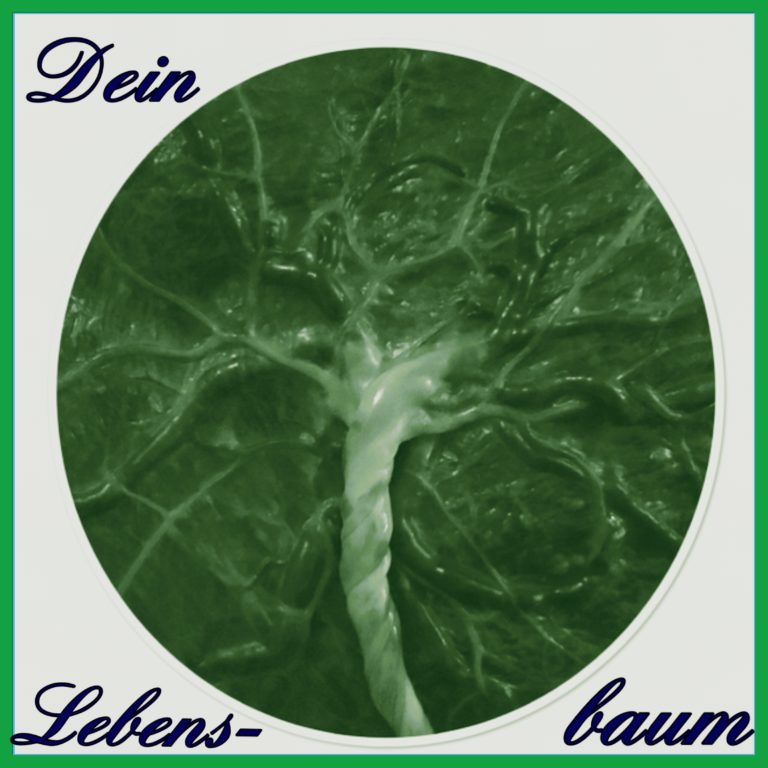 D0AA736E 28C3 4738 B2D7 4E94C8D48374 768x768