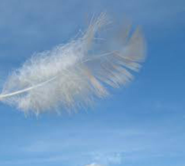 DFCB5EFE 3624 4216 ACF5 C0FE15EA2891 768x689