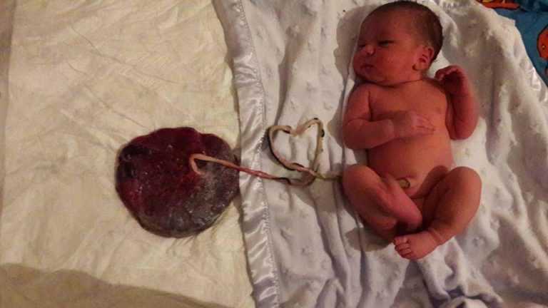 FB IMG 1654091295182 768x432