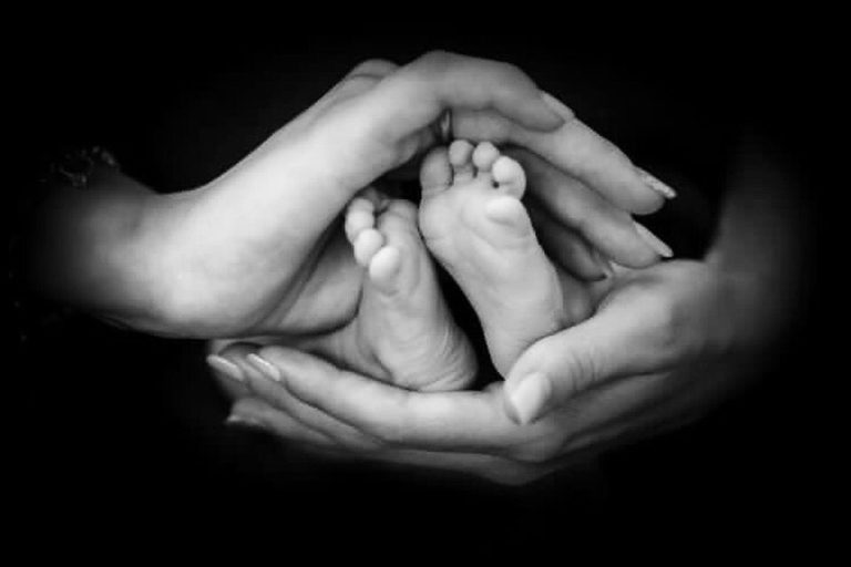 Thorin Armando 768x512