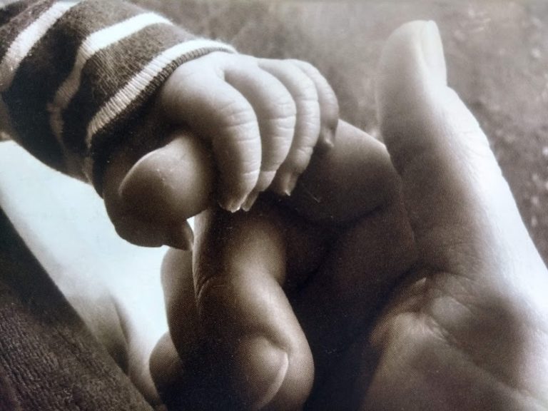 IMG 20191007 103435261 HDR 768x576